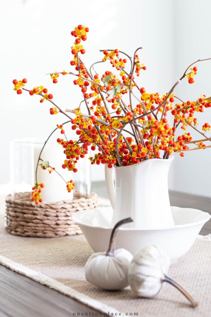 bittersweet in a pitcher