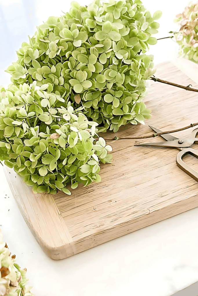 dried hydrangeas on a wooden board with a pair of shears