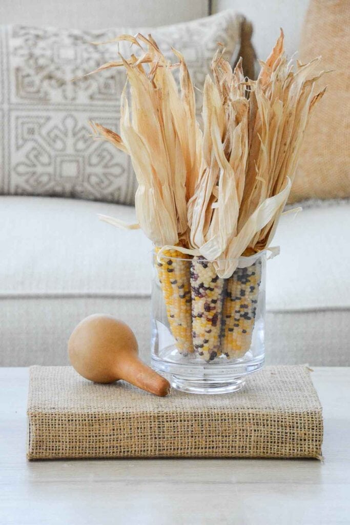 mini corn standing upright in a glass with a small gourd next to it on a book.