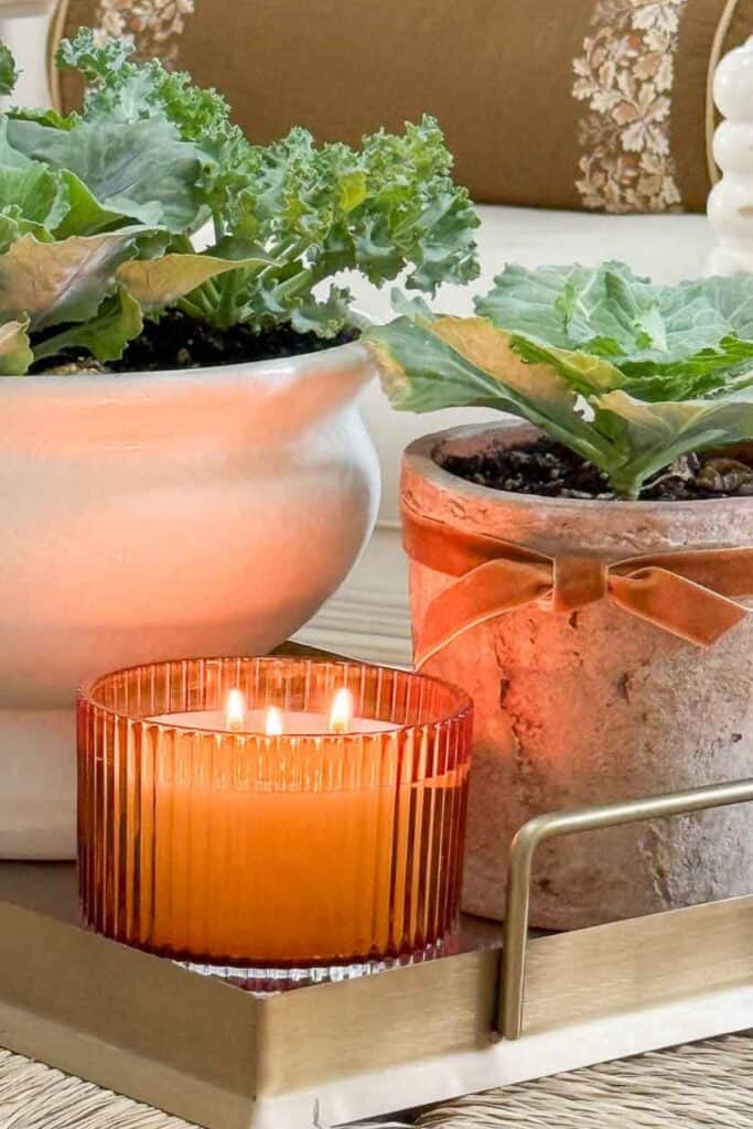 orange lit candle with ornamental cabbages on a gold tray