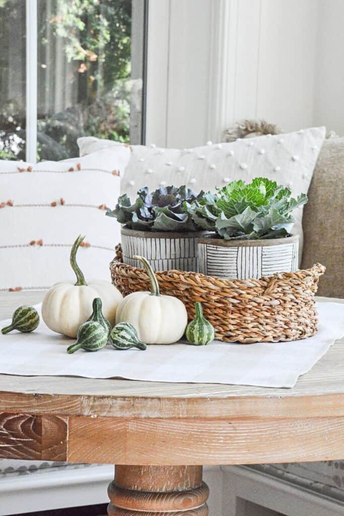 Basket of potted ornamental cabbage and kale with white pumpkins and gourds on a kitchen table
