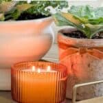 Budget friendly fall decorating with a lit orange candle and ornamental cabbages in pots on a gold tray.