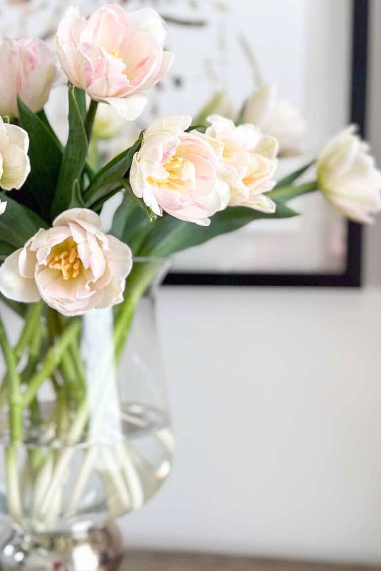 tulips in a clear vase on a chest.