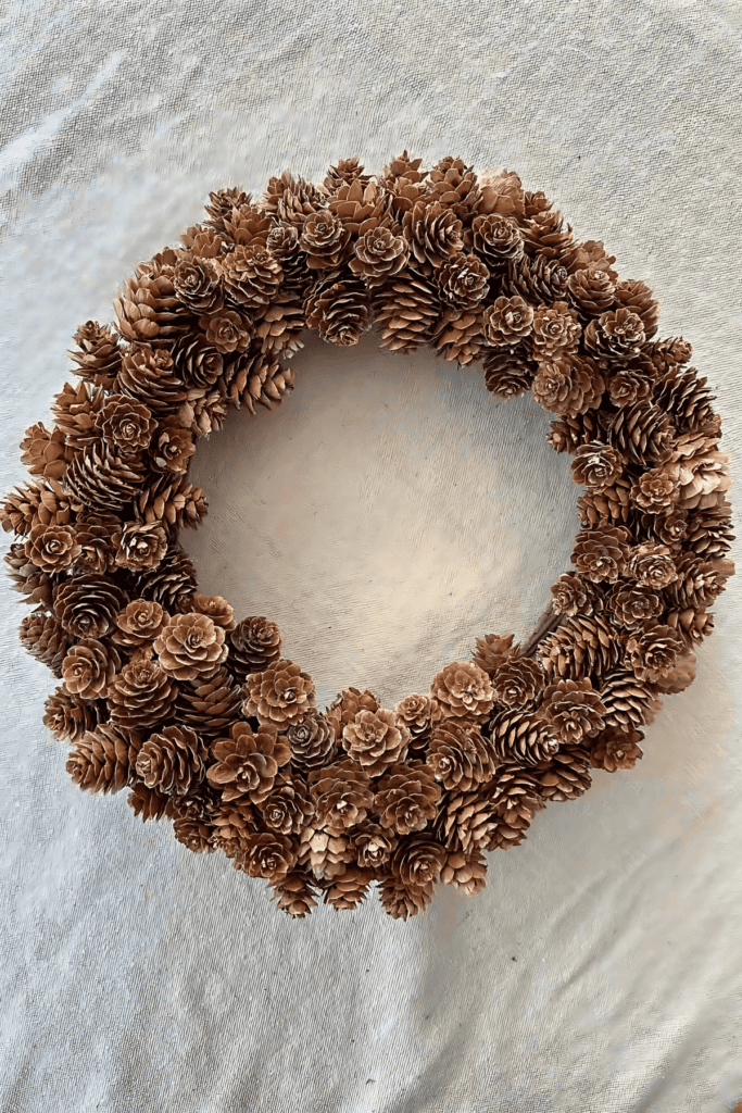 MINI PINECONE WREATH- SPIDERS REMOVED