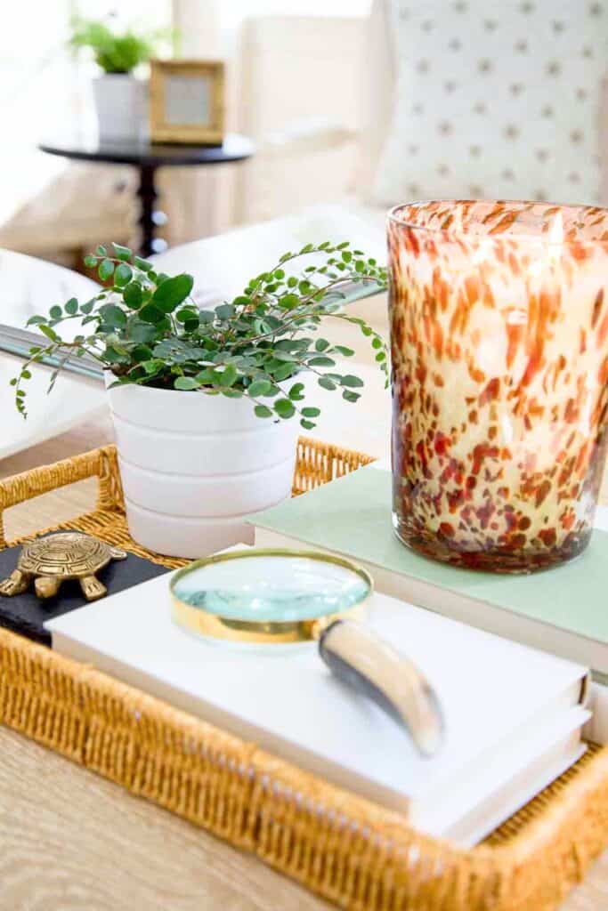 organized coffee table tray with candle, plant, books, and decorative items arranged neatly