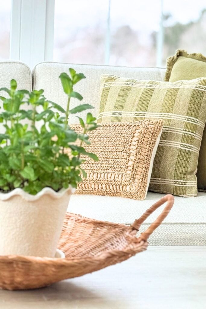 simple living room with neutral pillows, basket, and plant styled in an organized and clutter free way