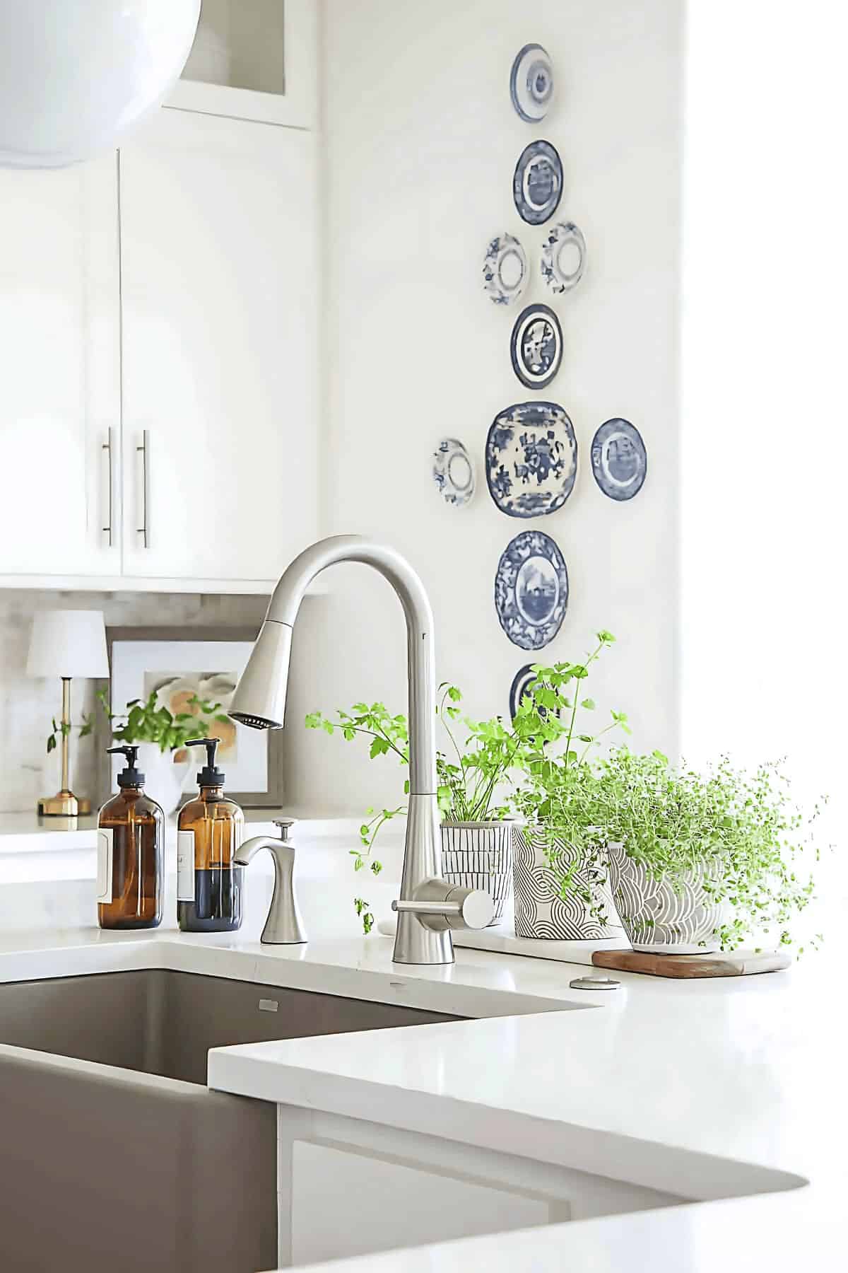 clean and organized kitchen sink area with soap dispensers, herbs, and uncluttered white countertops
