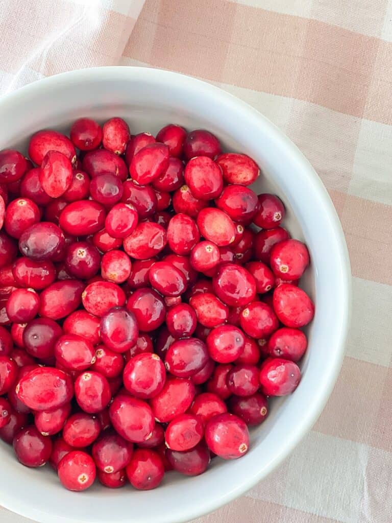Bowl of fresh cranberries