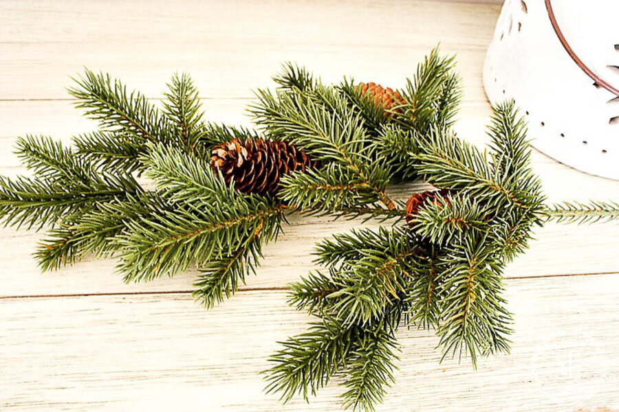realistic faux Christmas green branch with pinecones on a wood background