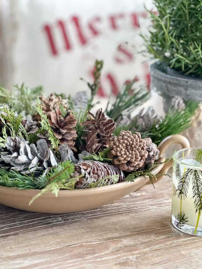 live greens and pinecones in a bowl