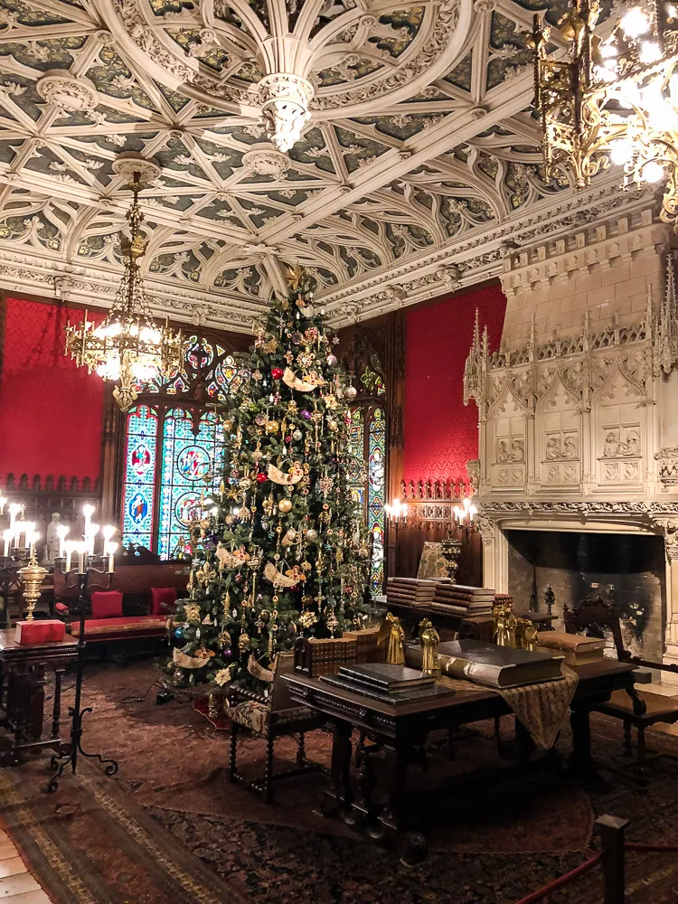 huge tree in a Newport mansion