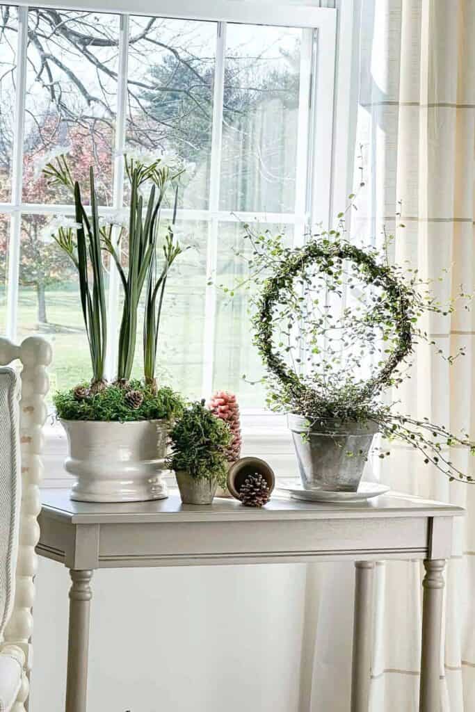 table of Christmas plants