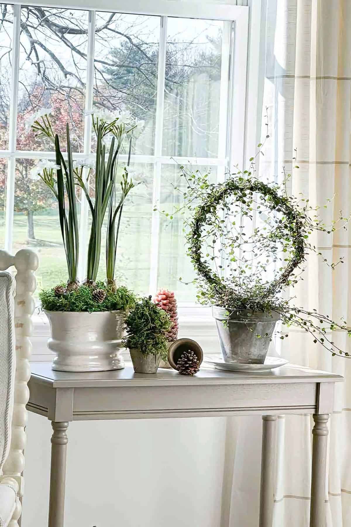 TAble with plants and other naturals elements