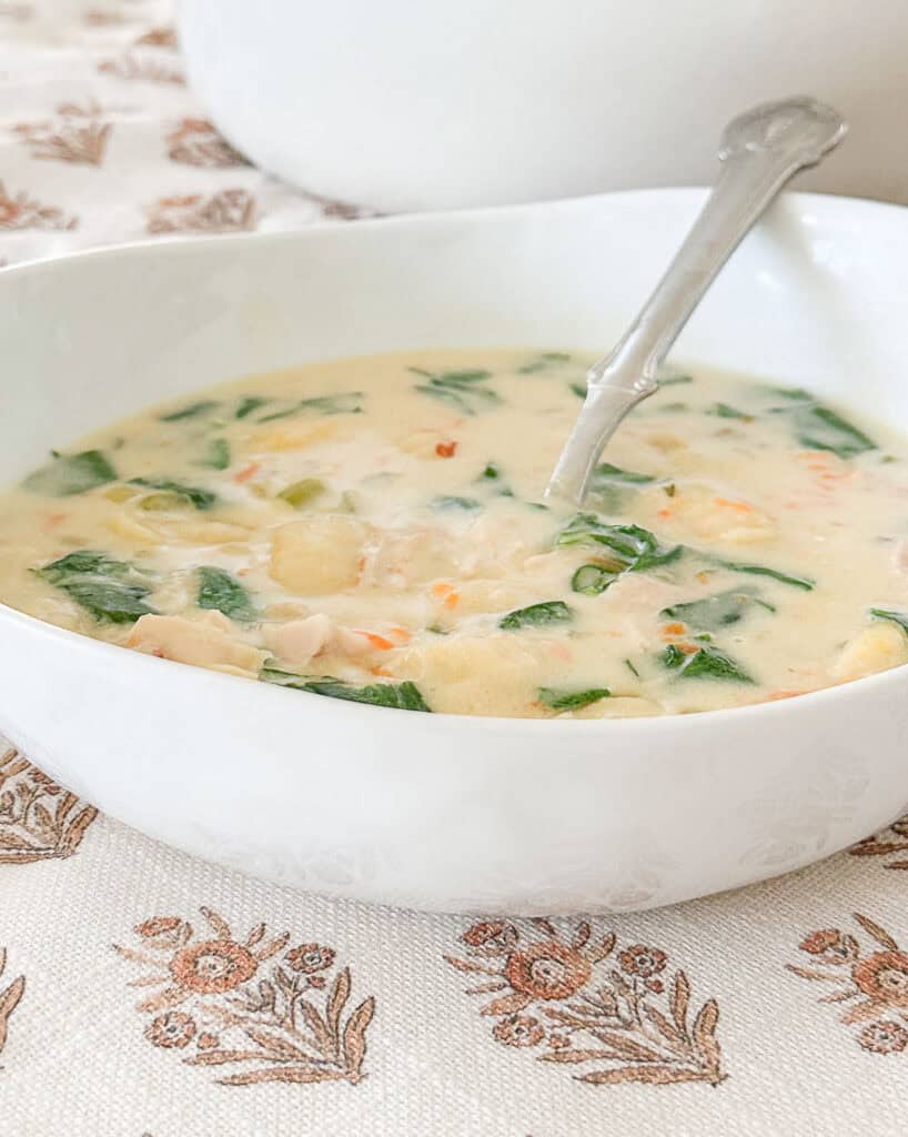 bowl of chicken gnocchi soup