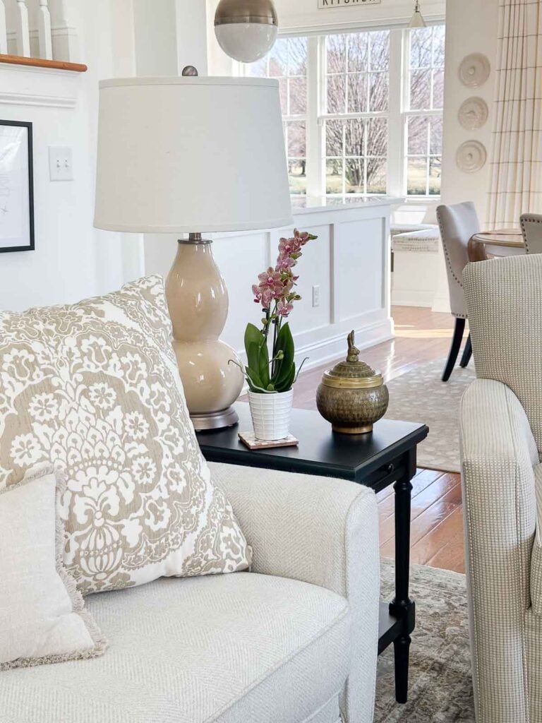 PILLOW ON A LIVING ROOM SOFA