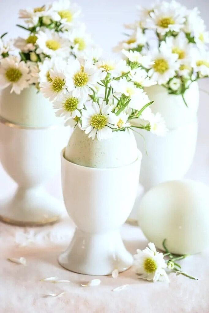little flowers in eggs in egg cups
