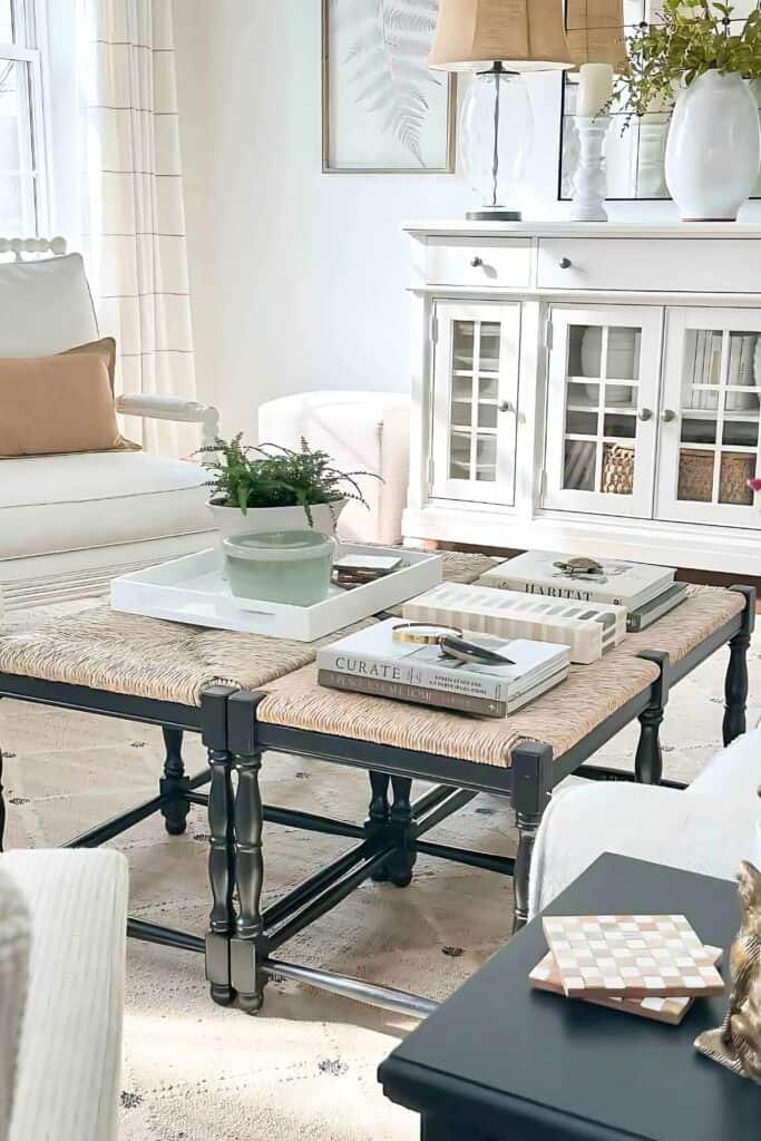 DESIGNERS SECRETS- TRAY ON COFFEE TABLE