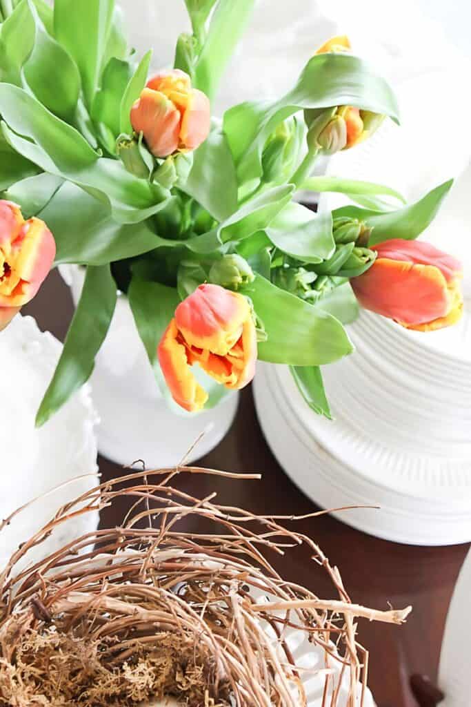 vase of tulips and a nest
