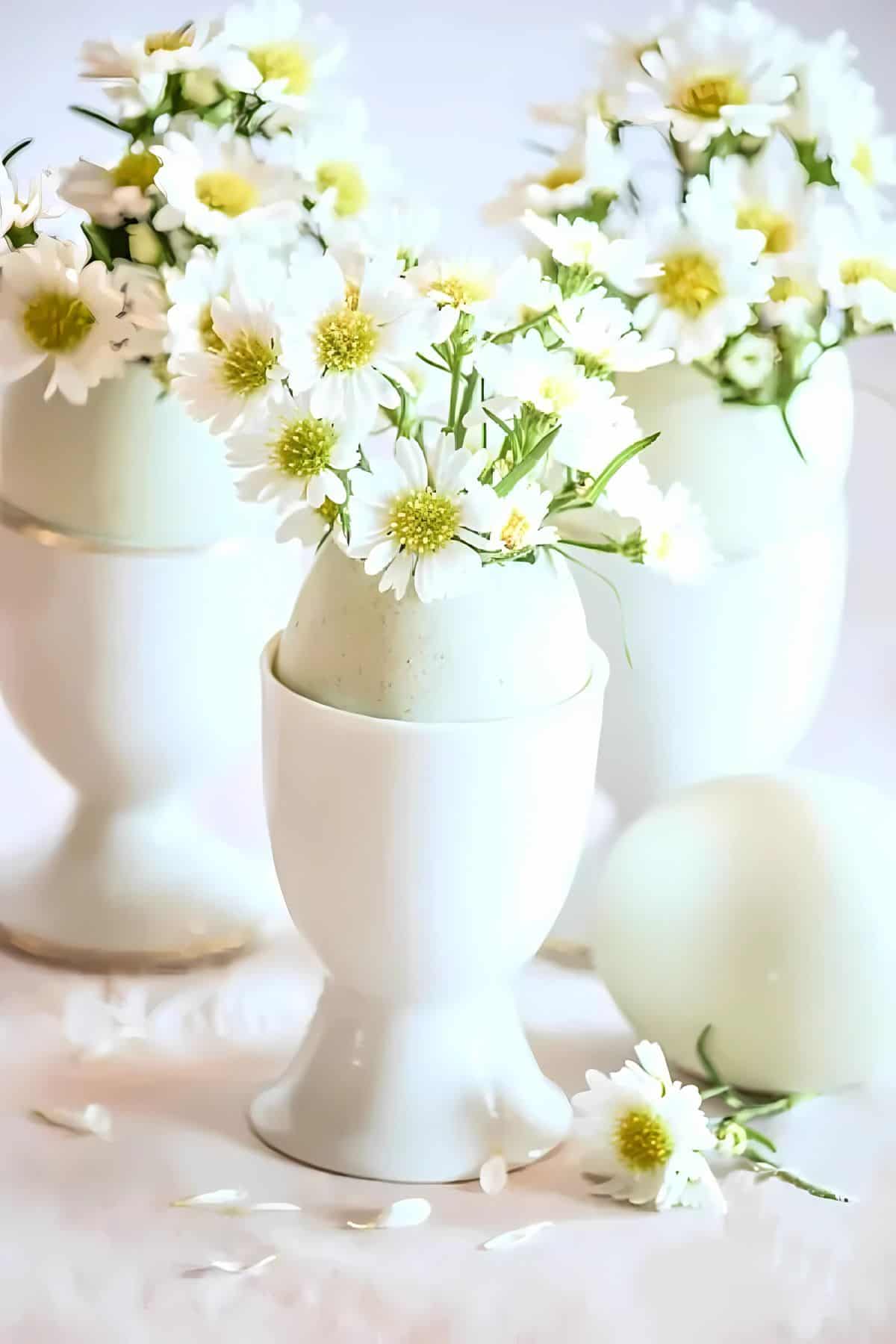 little flowers in egg cups