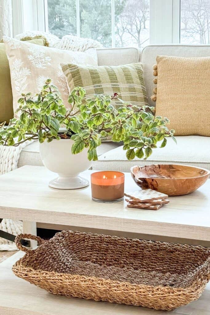 greenery plant in a white bowl on a coffee table with a candle and neutral decor