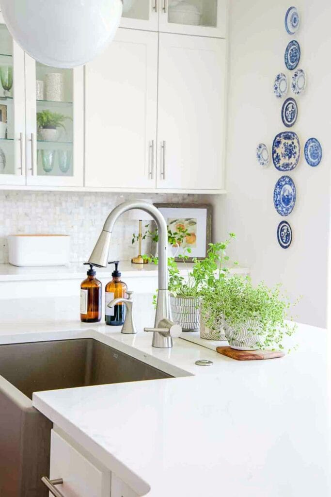 potted herbs and greenery on a kitchen counter by a sink with blue and white wall decor
