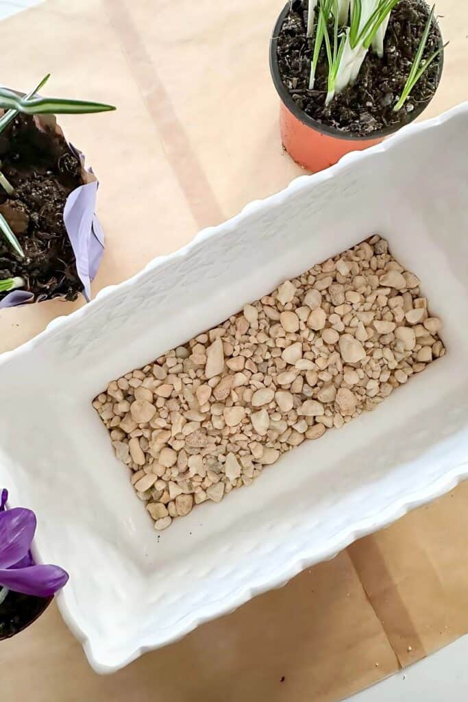 gravel in planter  top view