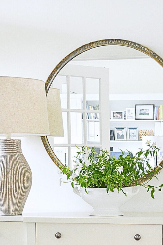round mirror with a plant in front of it