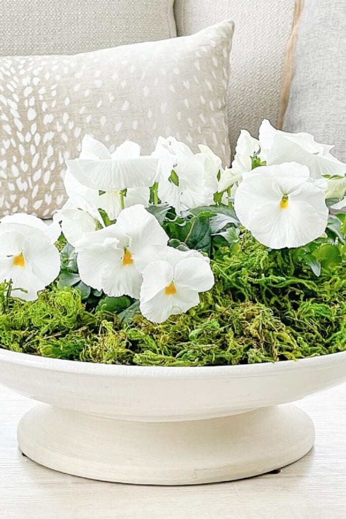spring decorating ideas with white flowers and moss in a neutral home