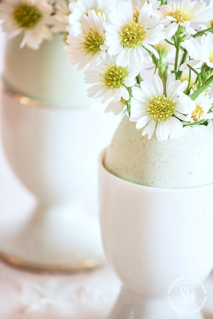 spring flowers in eggshells