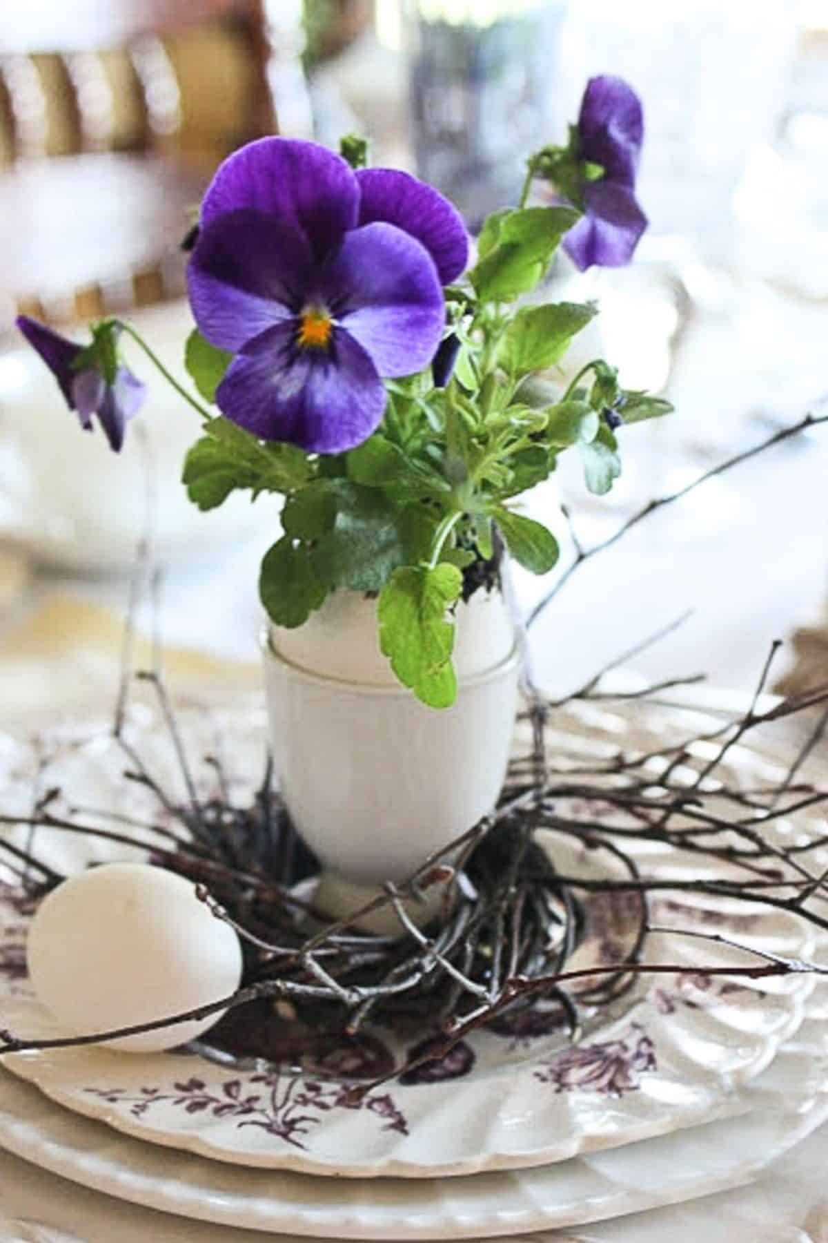 pansy in an eggshell
