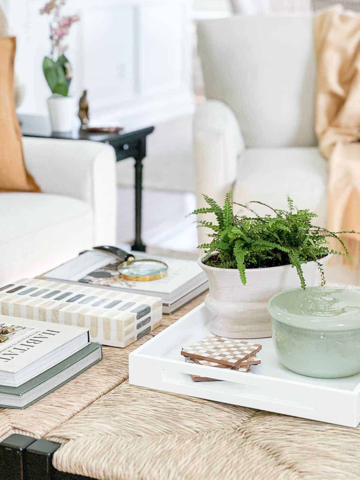 large coffee table- close up of items on a coffee table