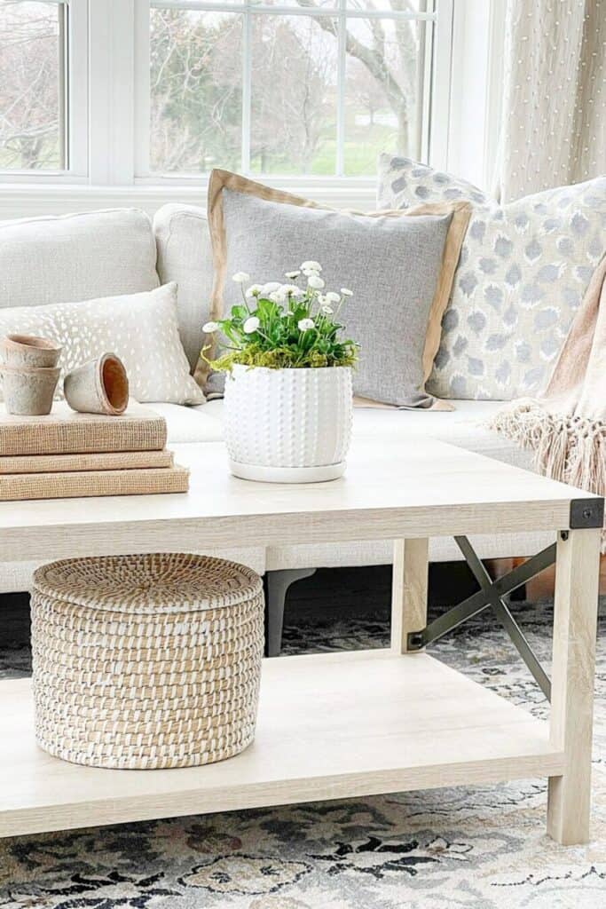 early summer in the sunroom