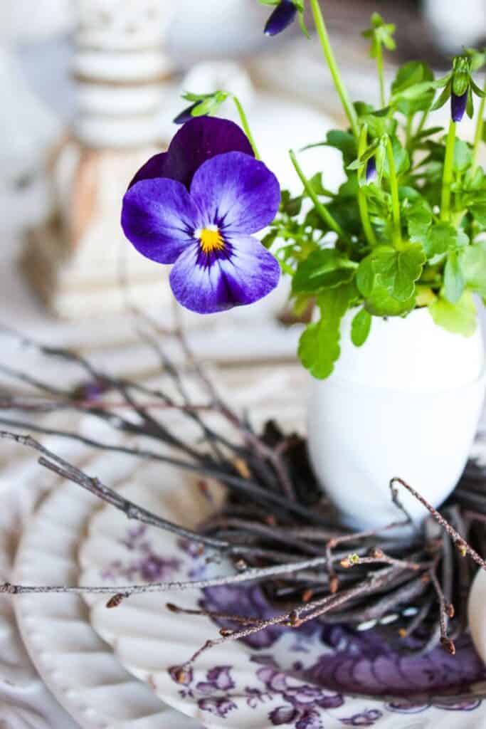 easy Easter decorating ideas using a small viola plant in a cup with a twig nest on a plate