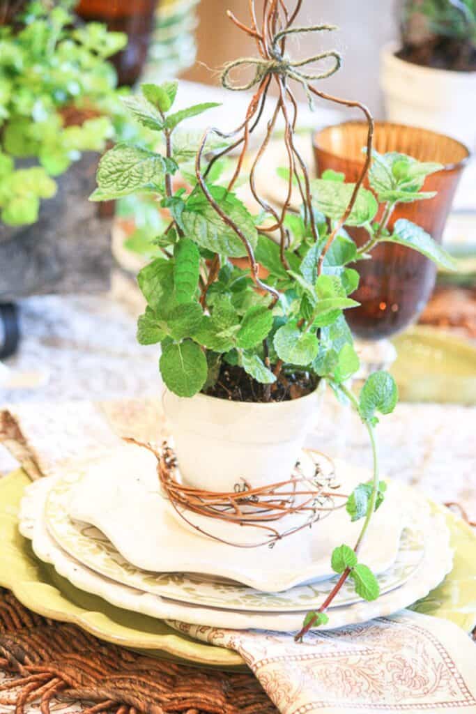easy Easter table decorating ideas using a potted herb as a centerpiece and place setting