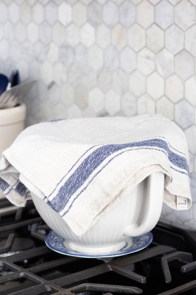 dough in a covered bowl