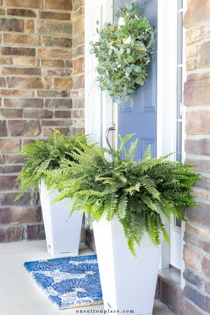 planters with ferns on a front porch