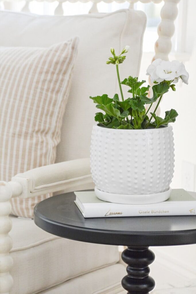 White geranium in a white hobnail ceramic pot styled on a stack of books on a dark side table next to a linen chair
