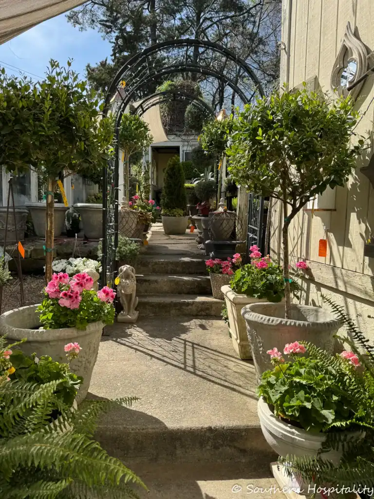 box gardens in Atlanta Ga