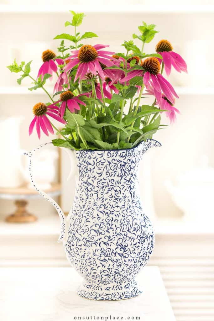 blue and white pitcher with perennial flowers