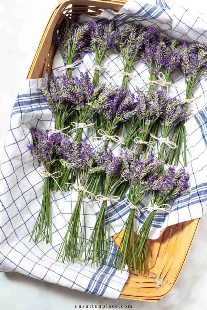 lavender bundles