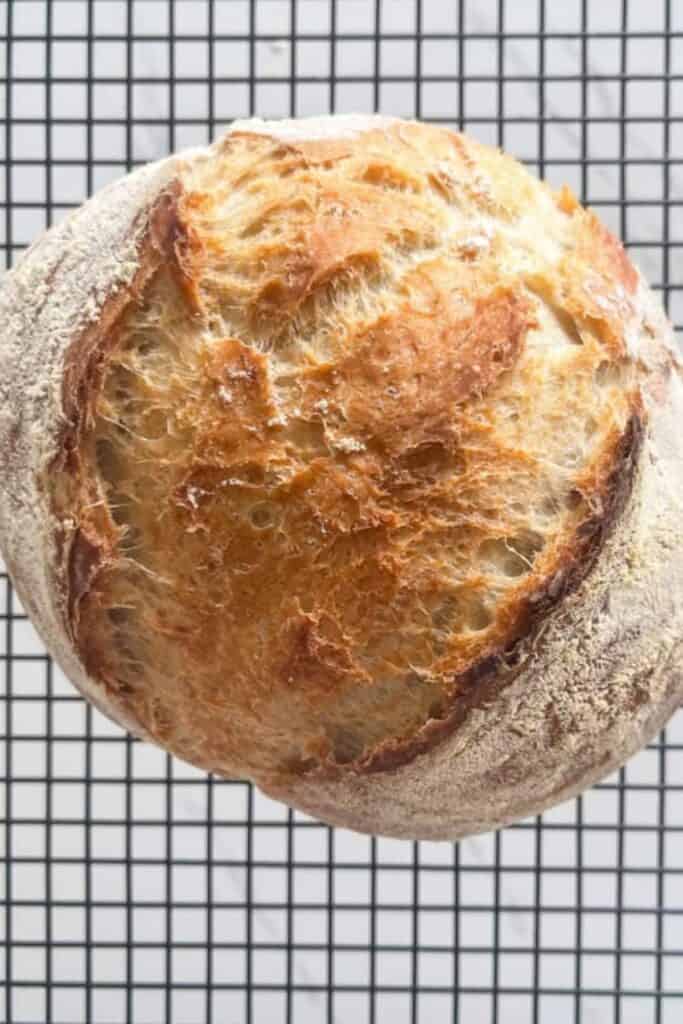 no knead bread