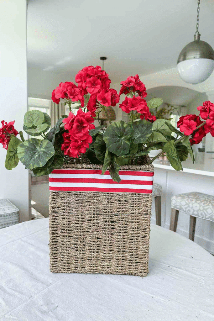 red geraniums