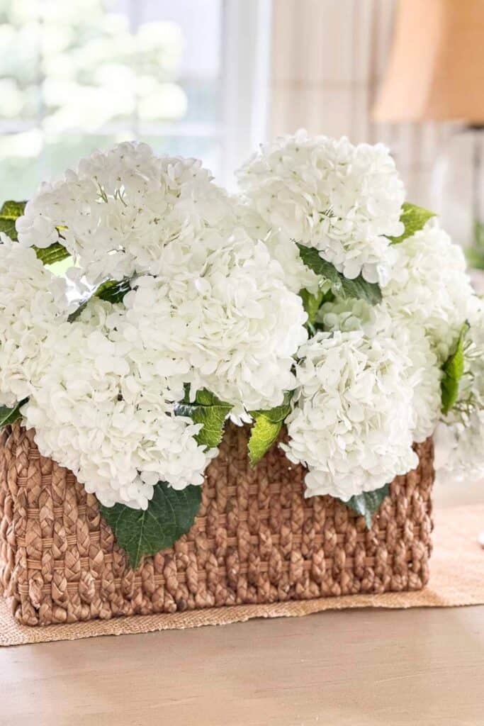 CLOSE UP OF HYDRANGEAS