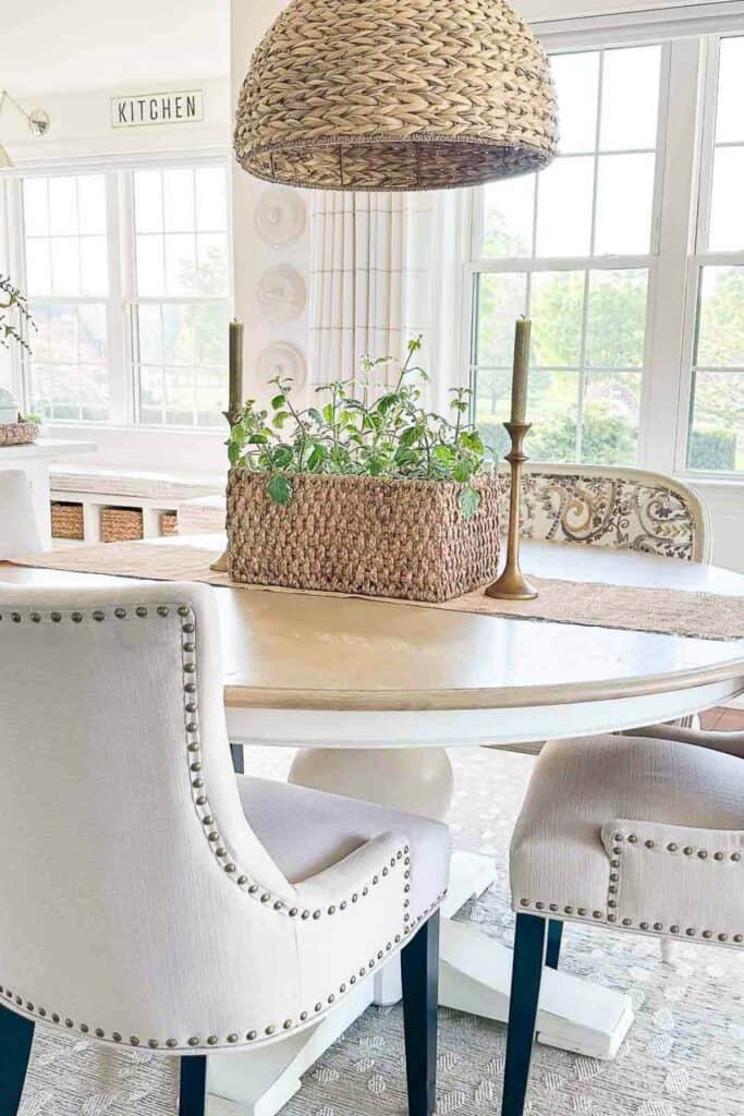 basket of swedish ivy on a dining room table