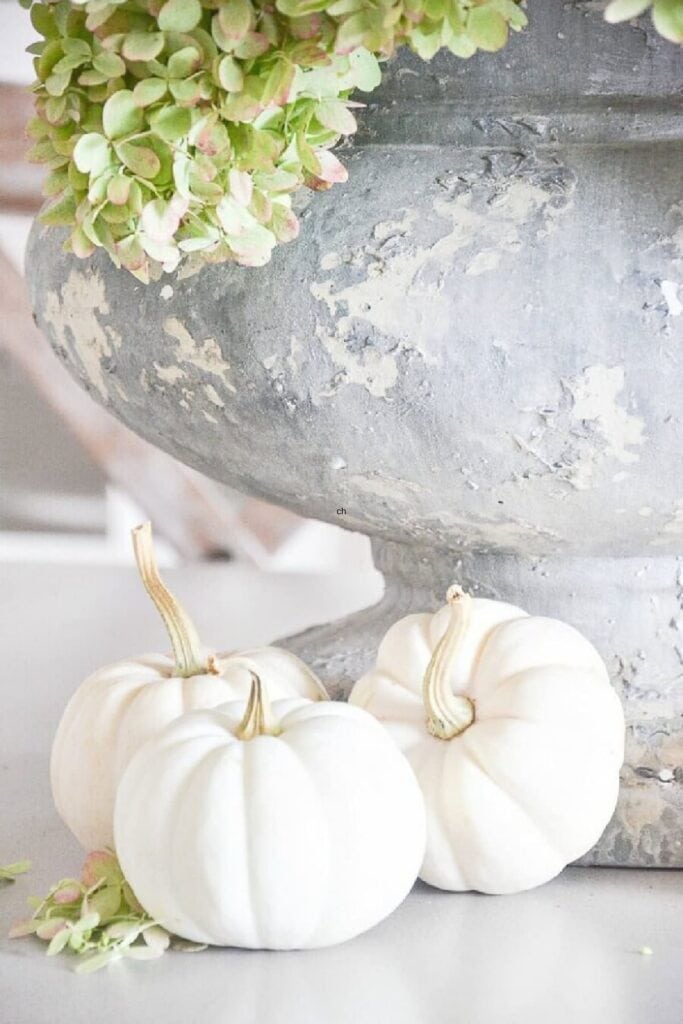 urn filled with hydrangeas and mini white pumpkins sitting at the base