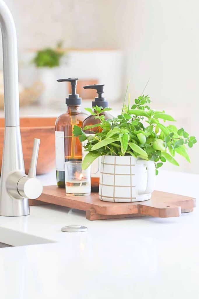 mug of fresh cut herb next to a sink