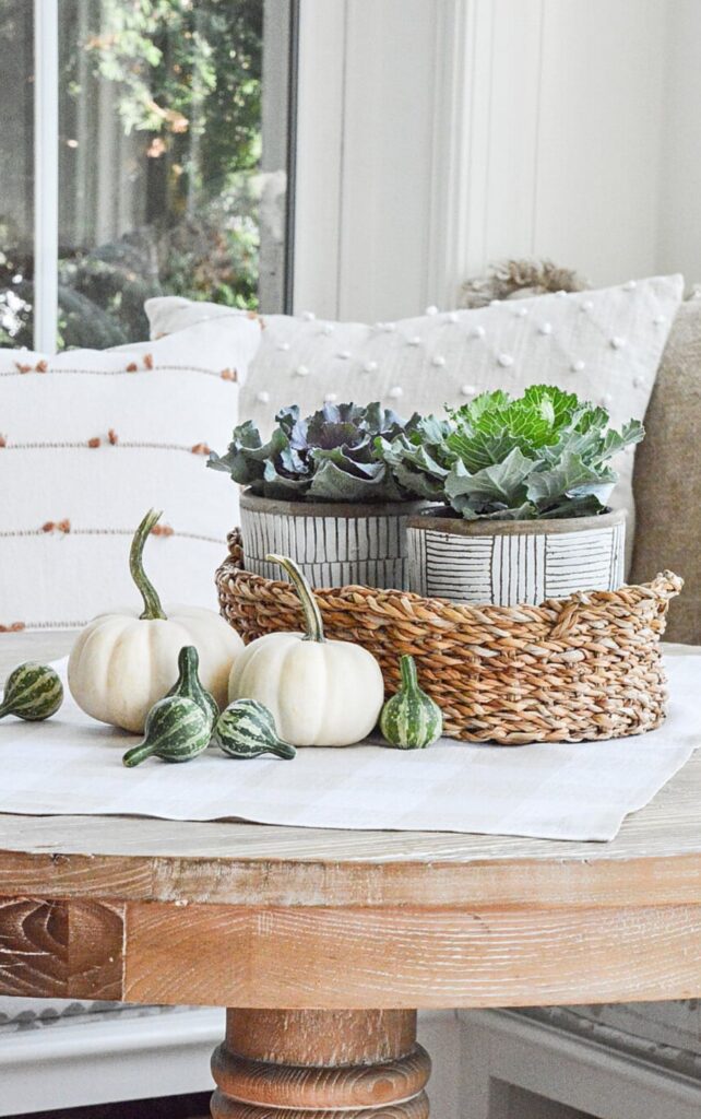 White pumpkins and gourds in a woven basket with potted ornamental cabbage and kale on a wood coffee table