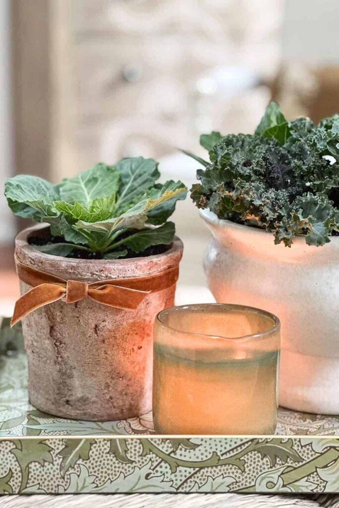 Potted flowering cabbage and kale beside a glowing candle on a tray, a budget friendly fall decorating idea.