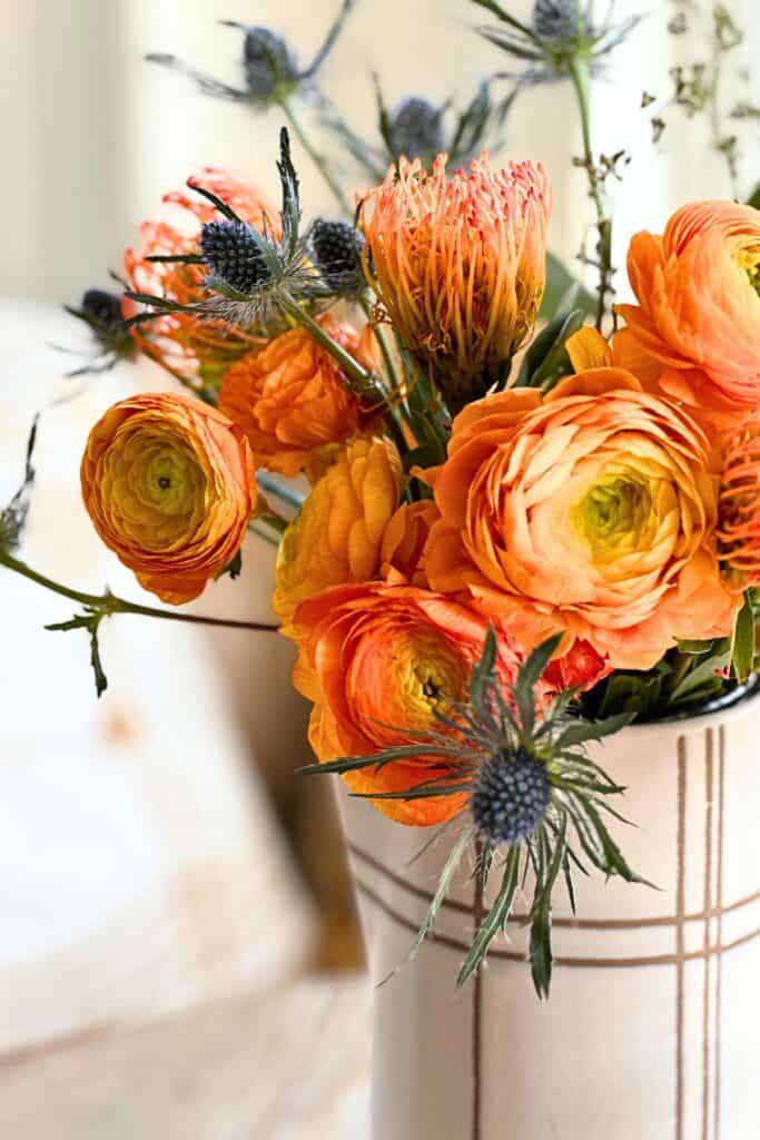 Orange ranunculus, protea, and blue thistle arrangement in a white striped vase for fall decorating inspiration