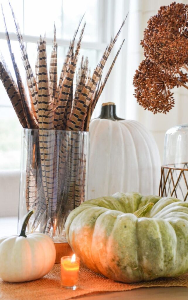 Pheasant feathers in a glass vase with dried seed pods and green and white pumpkins